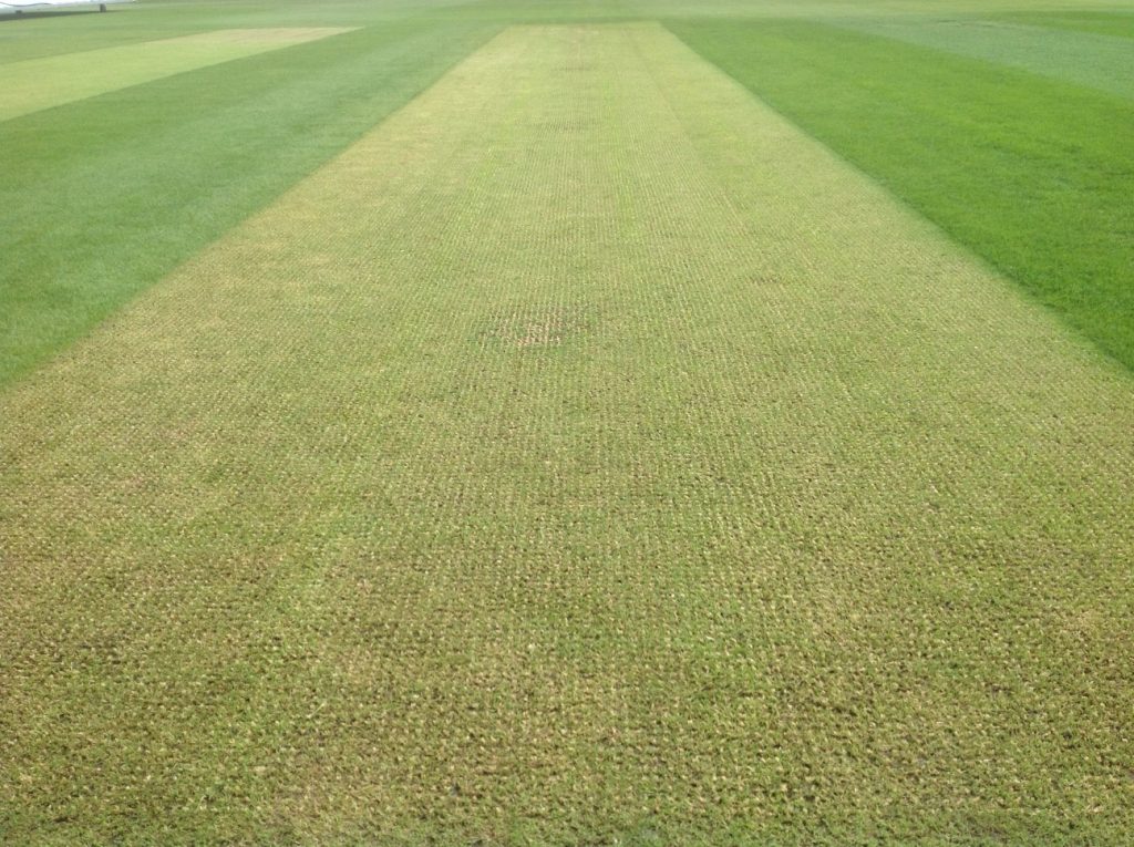 Synthetic Cricket Wicket Installation and Maintenance