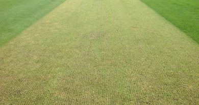 Synthetic Cricket Wicket Installation and Maintenance