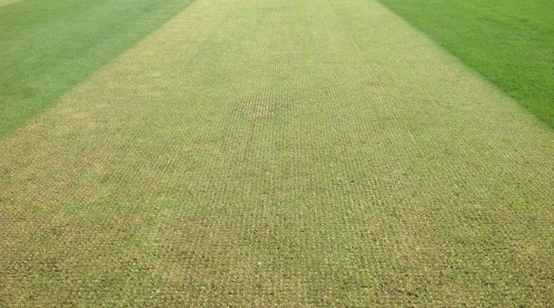Synthetic Cricket Wicket Installation and Maintenance